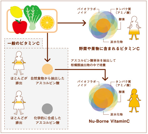 皮膚や呼吸から吸収できるニューボーンビタミンC