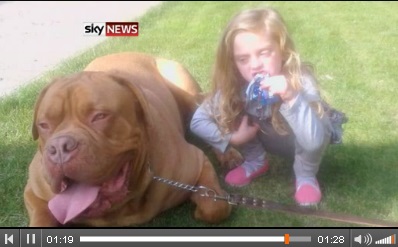 大型犬がファミリーの4歳女児を噛み殺す。画像はSky Newsのスクリーンショット
