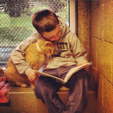 保護された猫と、子供が読書をする試み。画像はfacebook.com/berksARLのスクリーンショット。
