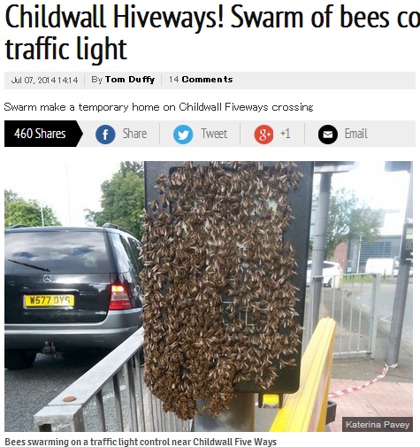 交差点の信号機にハチの大群　（画像はliverpoolecho.co.ukのスクリーンショット）