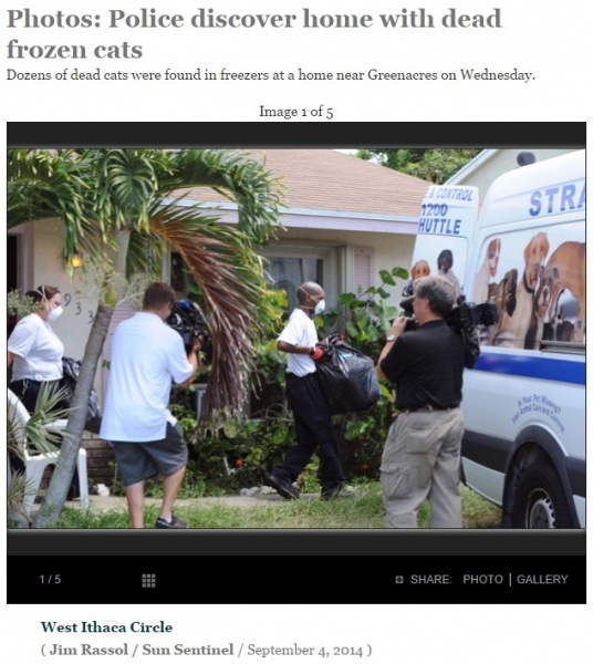 フロリダ州の男の自宅から見つかった大量の猫の死骸（画像はsun-sentinel.comのスクリーンショット）