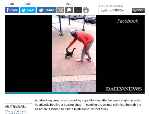 NYブルックリンで男が猫を強く蹴り上げ逮捕（画像はnydailynews.comのスクリーンショット）