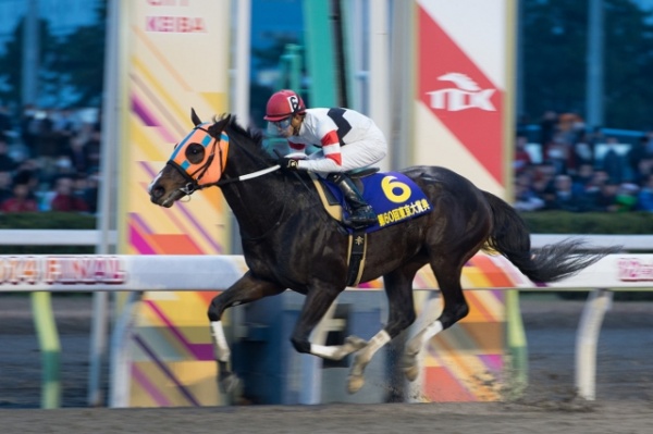 【エンタがビタミン♪】三浦春馬、GI観戦で大興奮！　1位のホッコータルマエを予想していた。