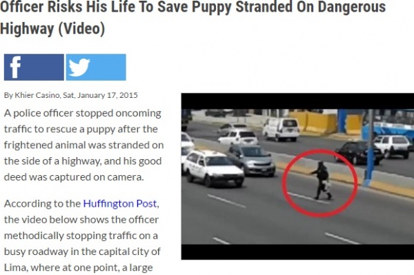 警察官の小犬を助ける勇姿が話題に（画像はopposingviews.comのスクリーンショット）