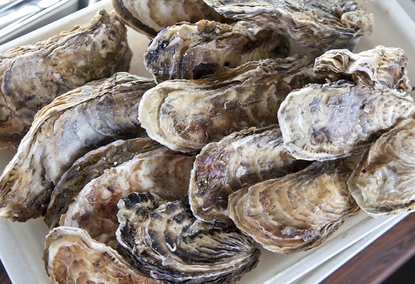 テネシー州のレストランで牡蠣料理から真珠の粒が！（画像はイメージです）