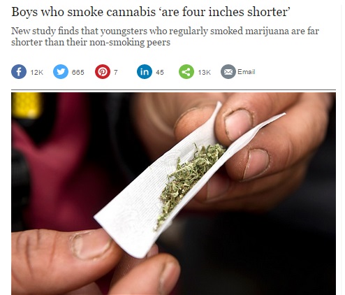 それでも大麻を合法化させるメリットとは…!?（画像はtelegraph.co.ukのスクリーンショット）