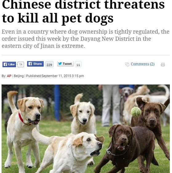 中国の市町村で進む飼い犬禁止条例（画像はindianexpress.comのスクリーンショット）