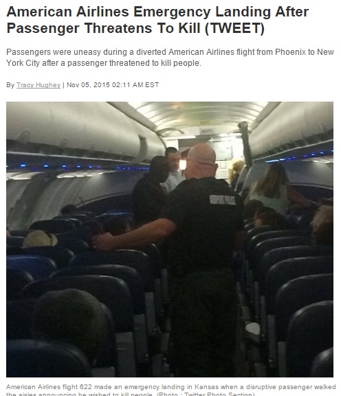 アメリカン航空機、乗客が「人を殺したい」と騒いで緊急着陸（画像はhngn.comのスクリーンショット）