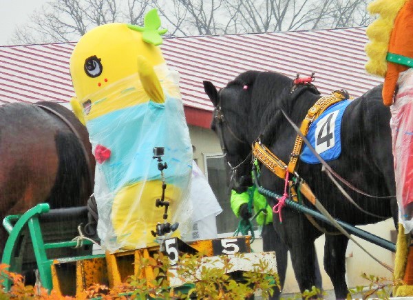 ふなっしー、ばんえい競馬を体験