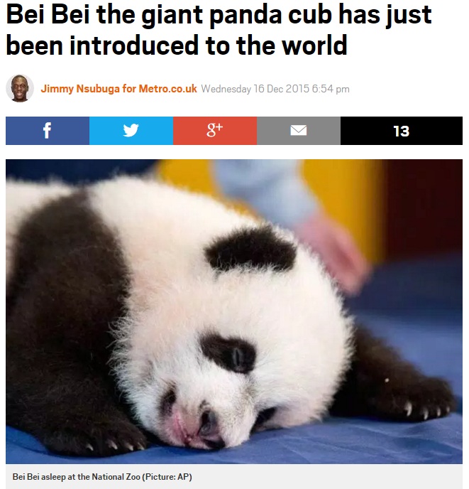 【海外発！Breaking News】赤ちゃんパンダ「ベイベイ」生後4か月に。報道陣にお披露目（米）