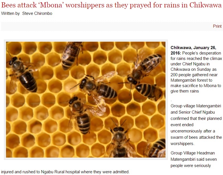 雨乞いの儀式で蜂の群れが人々を襲う（出典：http://www.manaonline.gov.mw）