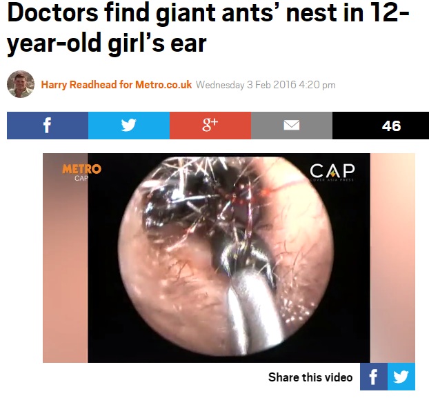 12歳の少女の耳に蟻が住みつく（出典：http://metro.co.uk）