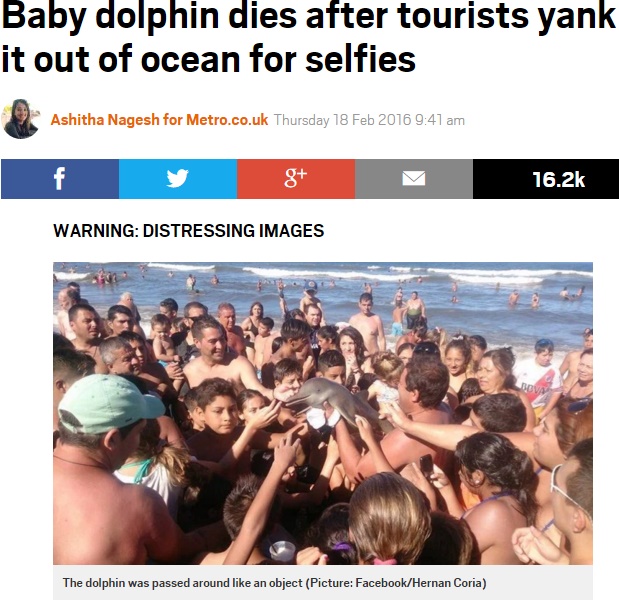 【海外発！Breaking News】イルカの赤ちゃん死亡報道に「待った！」　元から死んでいた可能性大（アルゼンチン）