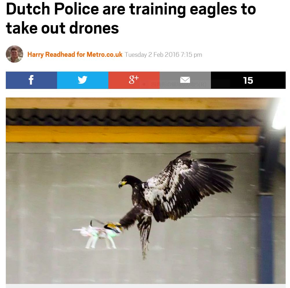 ワシで不審なドローンを捕獲するとオランダ警察（出典：http://metro.co.uk）