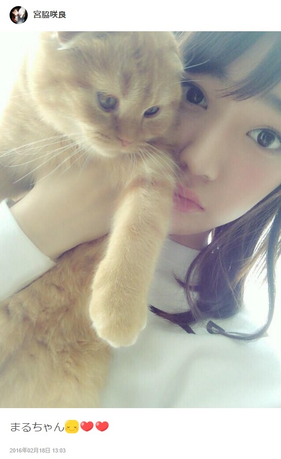 【エンタがビタミン♪】HKT48宮脇咲良　愛猫“まるちゃん”とのショットに拍手殺到