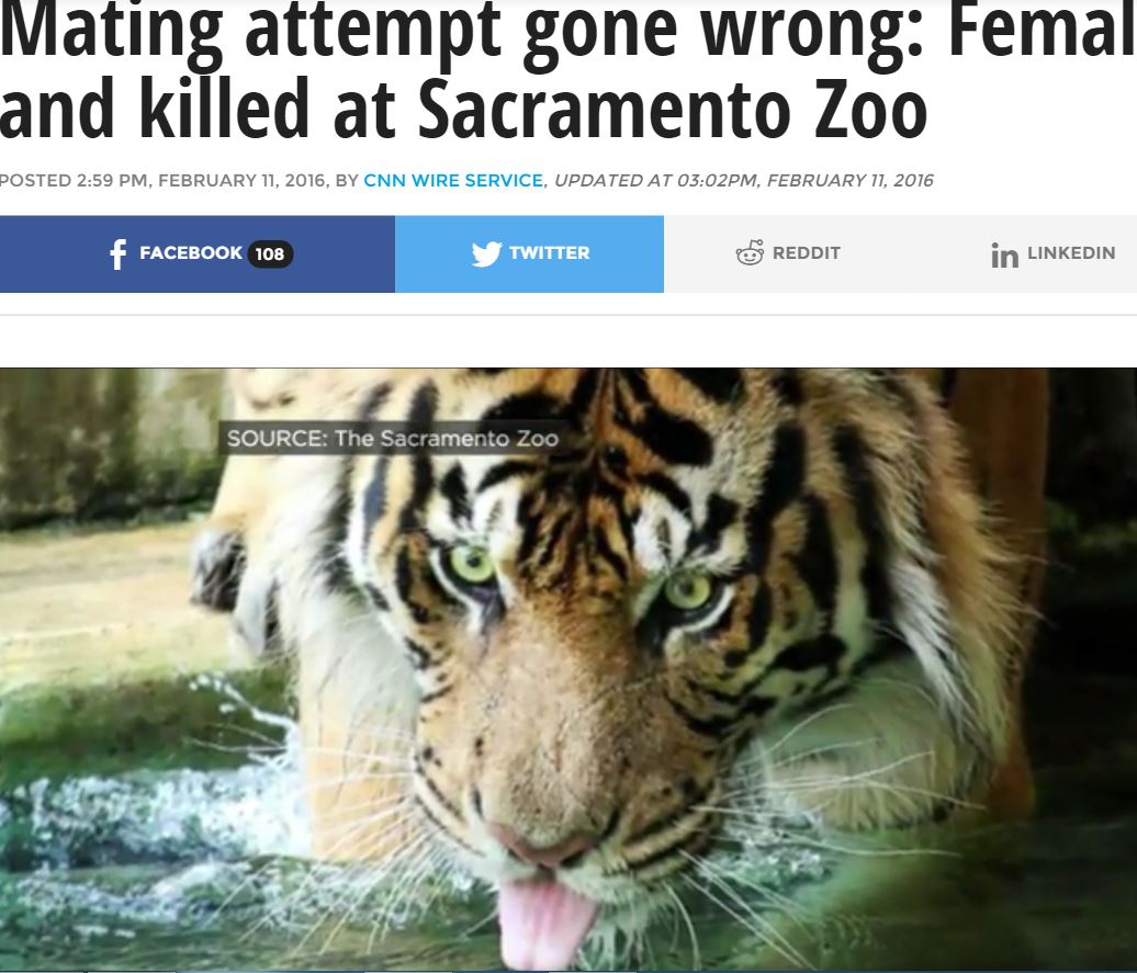 サクラメント動物園でオスのトラがメスを死なせる（出典：http://fox6now.com）