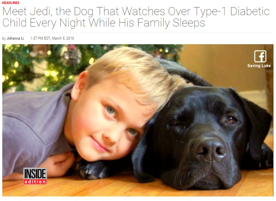 糖尿病アラート犬と過ごす7歳のルーク君（出典：http://www.insideedition.com）