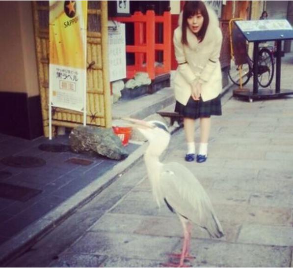 鳥とみるきー（出典：https://www.instagram.com/miyukichan919）