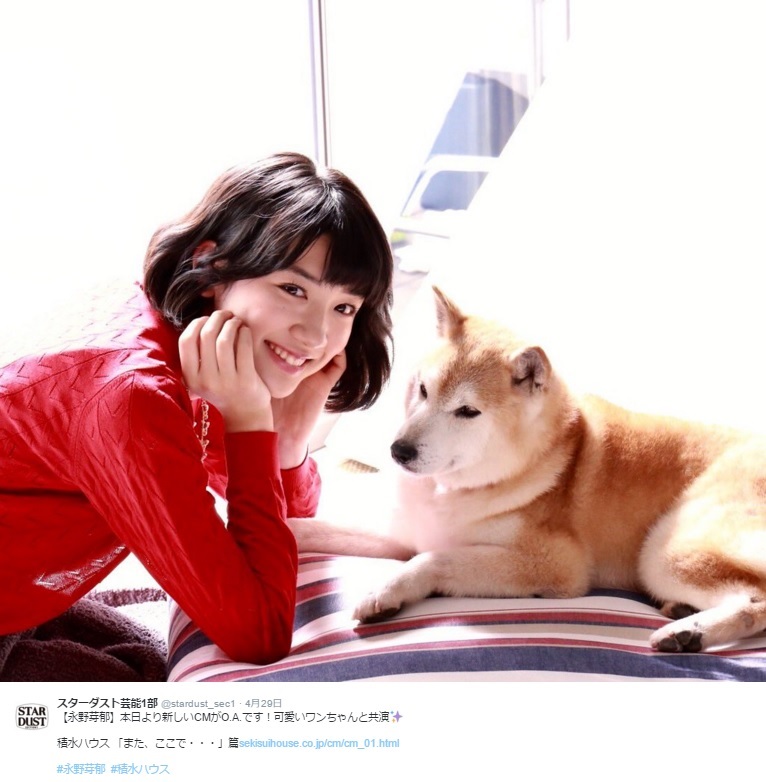 【エンタがビタミン♪】娘と愛犬が心の会話　永野芽郁が出演する新CMにほっこり