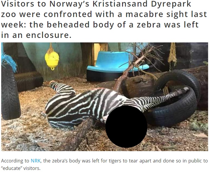 見学者を震撼させたノルウェーの動物園（出典：http://www.petaasia.com）