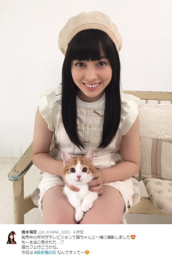 橋本環奈と猫（出典：https://twitter.com/H_KANNA_0203）