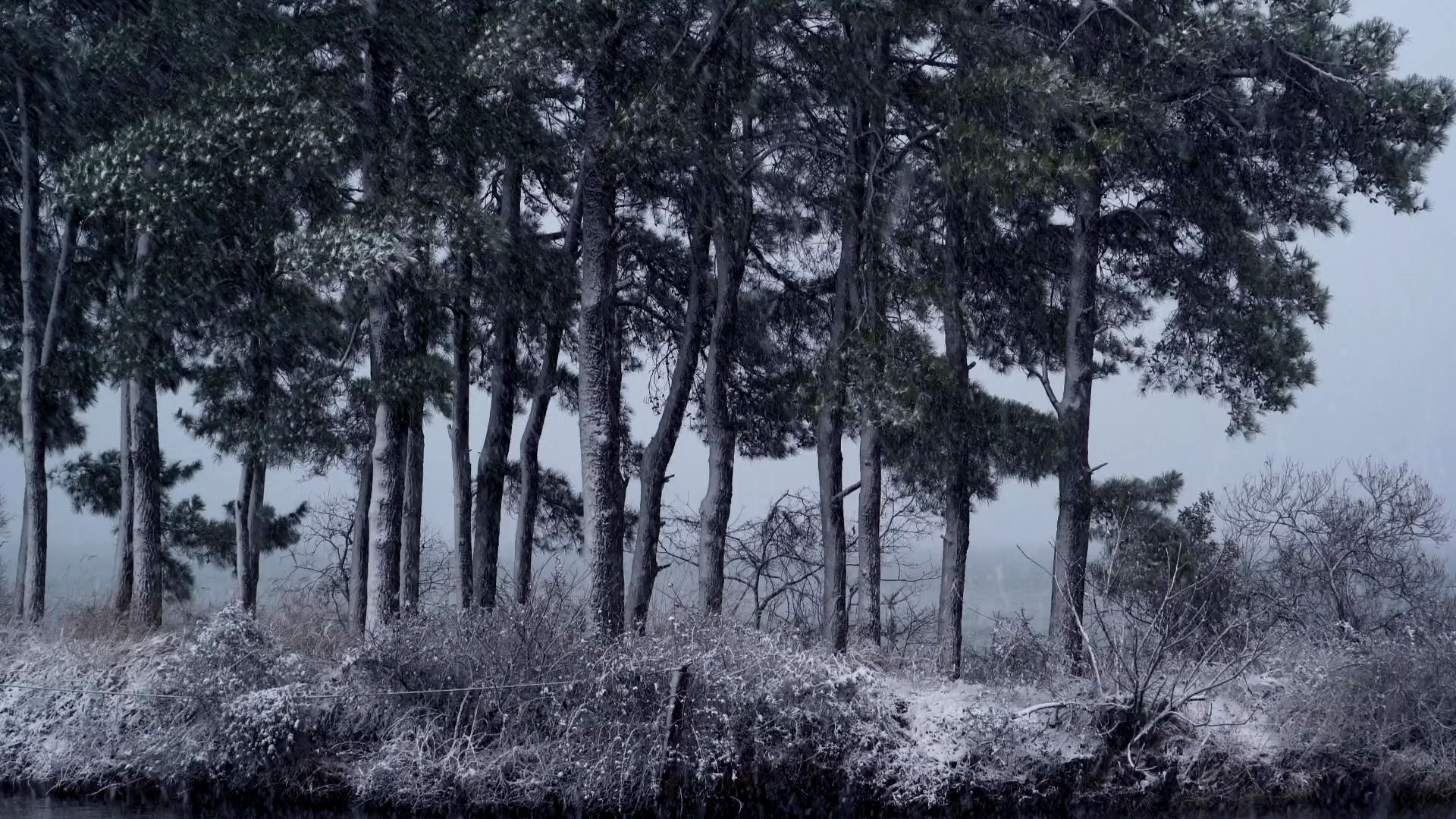 雪景色のアイスブルー