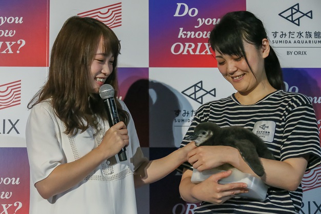 ペンギンの愛らしさに川栄李奈の顔もほころぶ