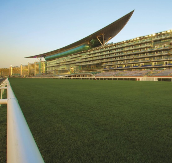 メイダン競馬場芝　画像提供：（c）The Meydan Hotel