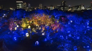 福岡城跡が美しい光のアート空間に