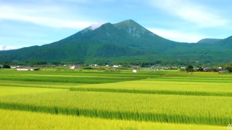 日本トップクラスの日照量を誇る宮崎