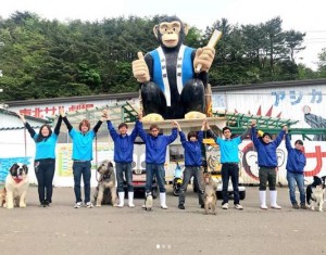 東北サファリパーク、GW盛況に御礼（画像は『東北サファリパーク サル劇場　2018年5月6日付Instagram「今回のGW、沢山の方々にお越し頂きました！」』のスクリーンショット）