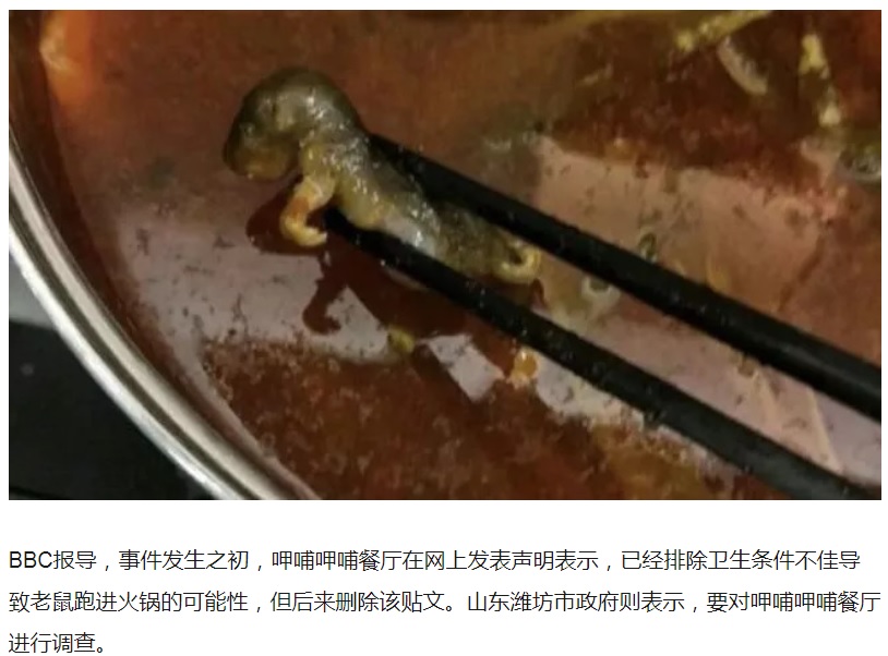 スープの中に入っていたネズミ（画像は『搜狐　2018年9月15日付「因为一隻老鼠 知名连锁火锅店竟损失1.9亿元」』のスクリーンショット）