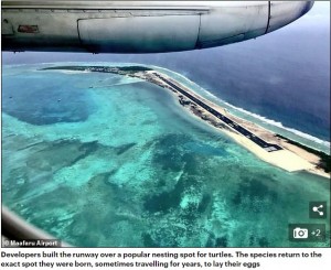 ウミガメの繁殖地に作られた滑走路（画像は『Daily Mail Online　2019年4月11日付「Endangered turtle returns to Maldives beach to lay its eggs - only to discover a runway has been built on historical nesting site」』のスクリーンショット）