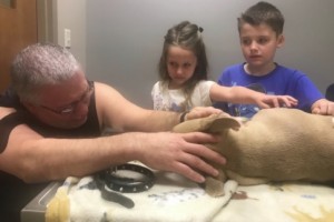 最期のお別れをする家族（画像は『GoFundMe　2019年9月27日付「Zeus the Hero Pitbull Vet Bills」』のスクリーンショット）