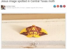 【米国発！Breaking News】イエス・キリストの姿がくっきりと現れた1匹の蛾。（テキサス州）