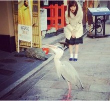 【エンタがビタミン♪】みるきー　街中で鳥に遭遇した表情が「ジワジワくる」