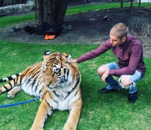 【イタすぎるセレブ達】ジャスティン・ビーバー　トラを撫でる写真に動物愛護団体が非難