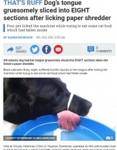 【海外発！Breaking News】シュレッダー要注意！　飼い犬、舌を突っ込み八つ裂きに（英）