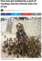 【海外発！Breaking News】「サルにエサを与えてはダメ」英メディアも警告　Redditに仰天写真