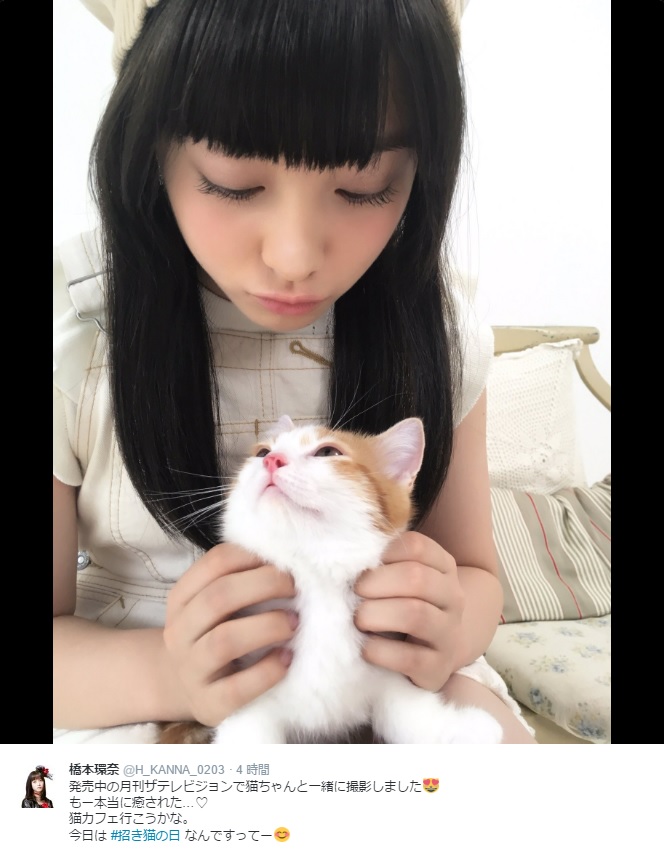 猫と見つめ合う橋本環奈（出典：https://twitter.com/H_KANNA_0203）