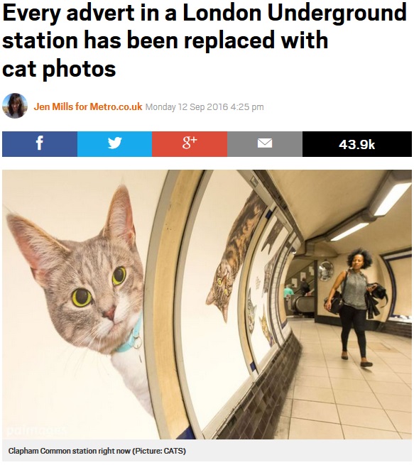 駅構内広告が全て猫に（出典：http://metro.co.uk）