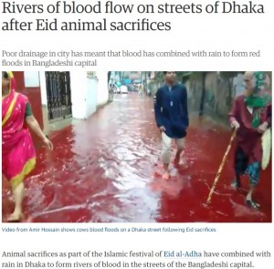 【海外発！Breaking News】大量の牛虐殺で「血の川」　ムスリムの祝日「犠牲祭」で（バングラデシュ）