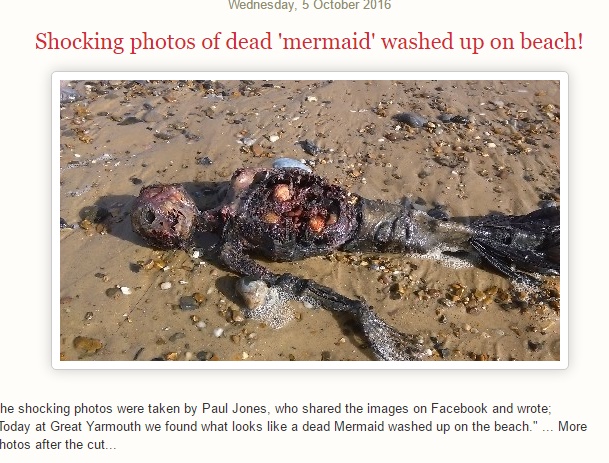 英グレート・ヤーマスの海岸に打ち上げられた死骸の正体は!?（出典：http://www.giftadenenews.com）