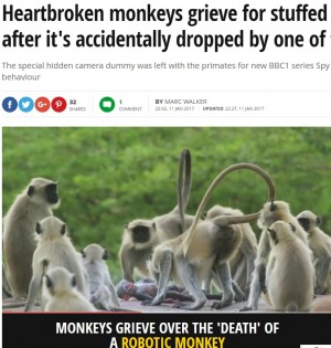 【海外発！Breaking News】赤ちゃん猿の死を悲しむ群れの姿　ロボットの隠しカメラが捉える（印）＜動画あり＞