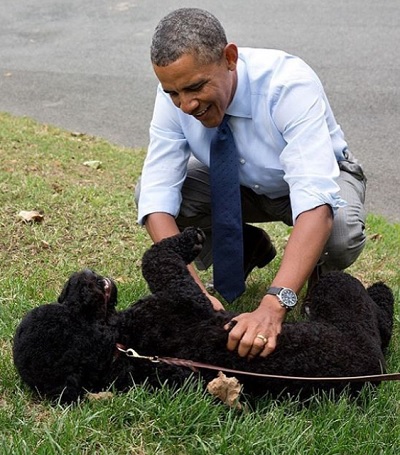 子供達にも愛されたワンちゃんが、なぜかイラッ！（出典：https://www.instagram.com/barackobama）