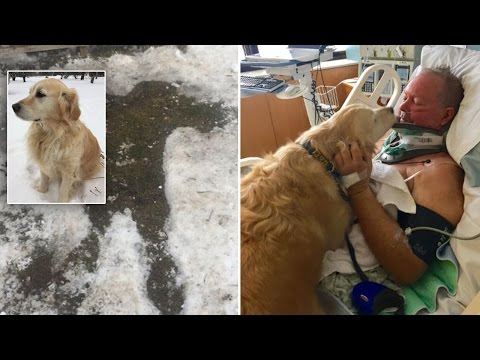 飼い犬に命を助けられた男性（出典：https://www.youtube.com）