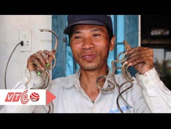 35年間爪を切っていないというベトナムの男性（出典：https://www.youtube.com）