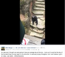 【海外発！Breaking News】チンパンジーが投げつけた糞便、見学者の顔に命中　米・動物園で＜動画あり＞