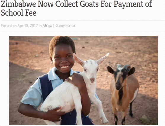 家畜で授業料の支払いが可能に（出典：http://www.nigeriatoday.ng）