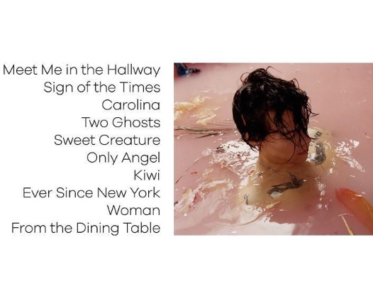 ハリーの楽曲『Two Ghosts』はテイラーがネタ？（出典：https://www.instagram.com/harrystyles）